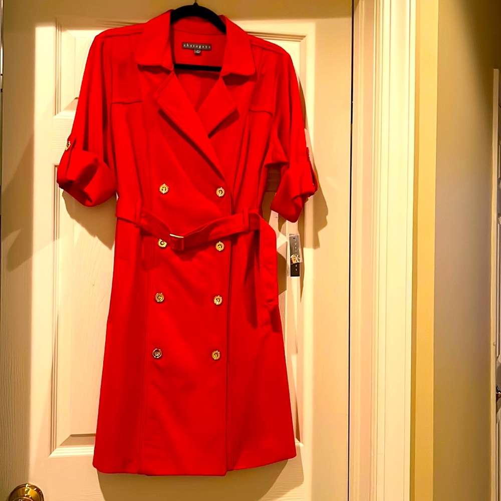 Ruby Red Dress